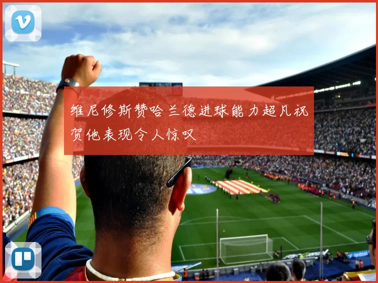 维尼修斯赞哈兰德进球能力超凡祝贺他表现令人惊叹