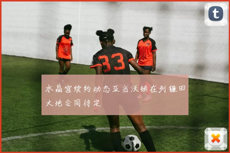 水晶宫续约动态亚当沃顿在列镰田大地合同待定