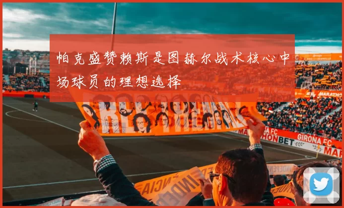帕克盛赞赖斯是图赫尔战术核心中场球员的理想选择